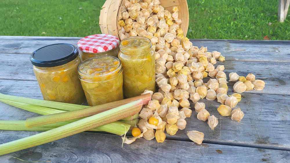 Confiture de cerises de terre et rhubarbe